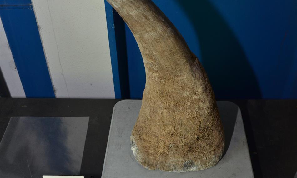 2014-1-15-1345foto 8.JPG